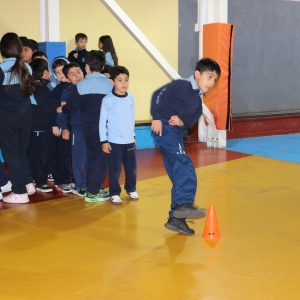 Día de la Actividad Física